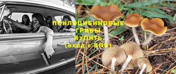 гидропоника Беломорск