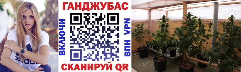 Бошки Шишки конопля  гидра   Мезень 